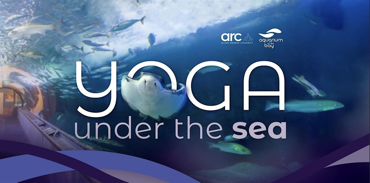 Yoga Under the Sea    |    Aquarium of the Bay