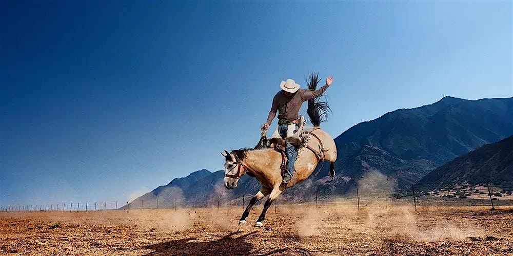 The Risk Rodeo Conference