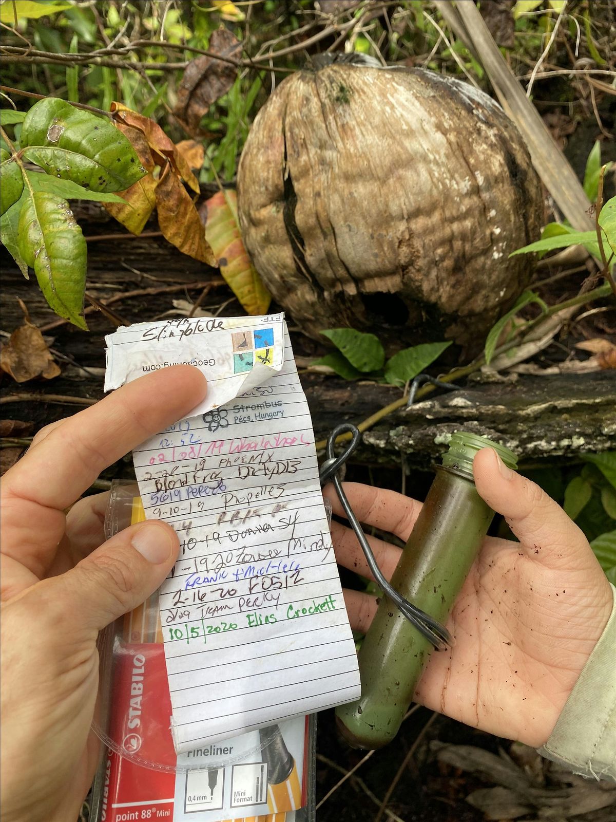 Geocaching at CREW Bird Rookery Swamp Trails