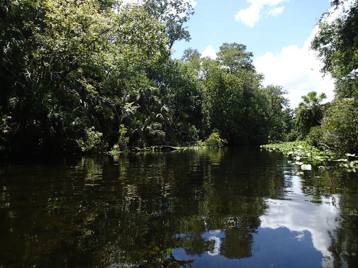 September Eco Paddle - Wekiva River