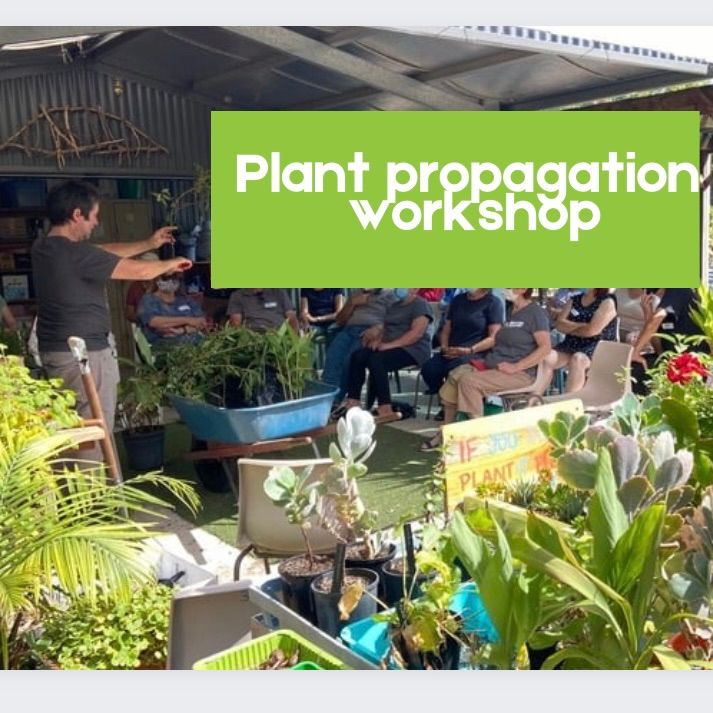 Plant Propagation Workshop