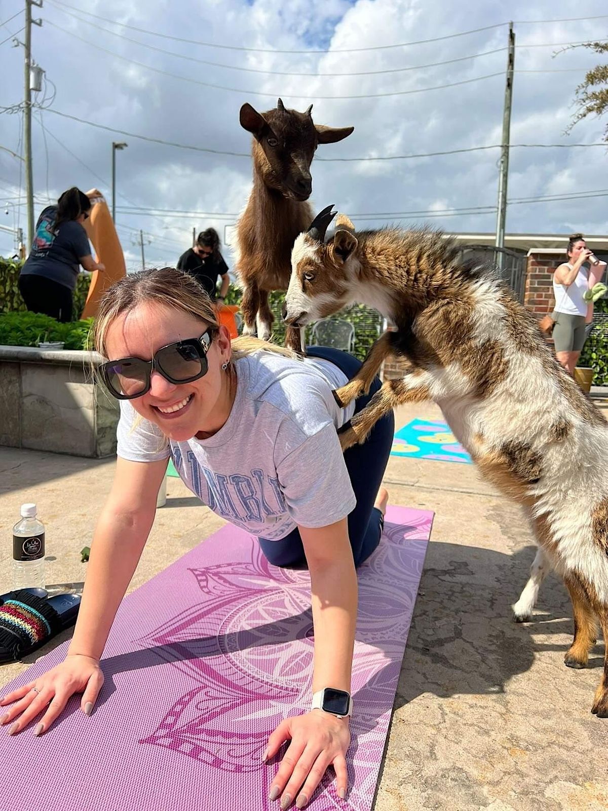 Goat Yoga Houston At La Vita Coffee Sunday April 2nd @130 PM