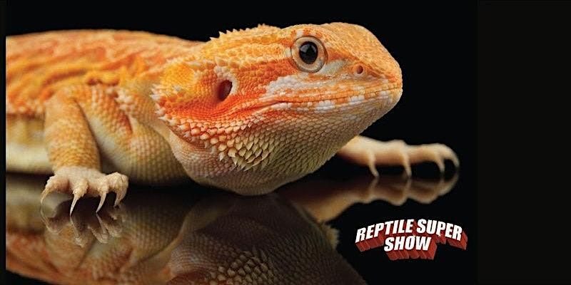 Reptile Super Show (Los Angeles- Pomona) 1 DAY PASS January 7-8, 2023