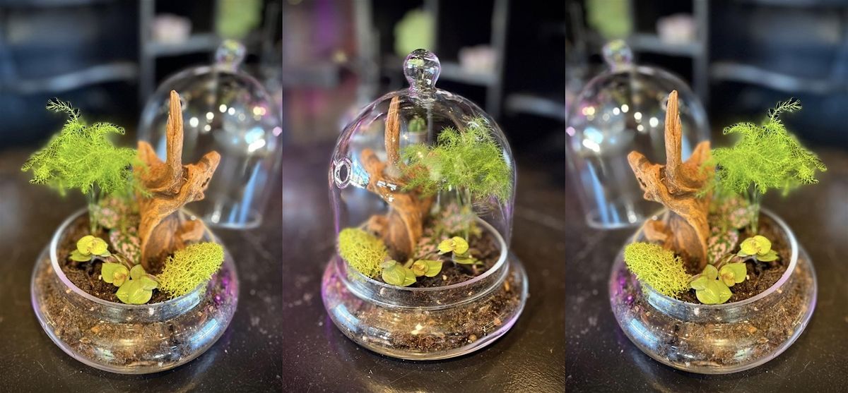 Glass Cloche Terrarium - B.Y.O.T.