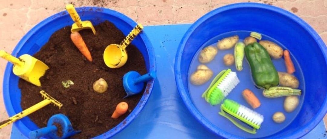 Toddler Playgroup-Garden Vegetable Washing