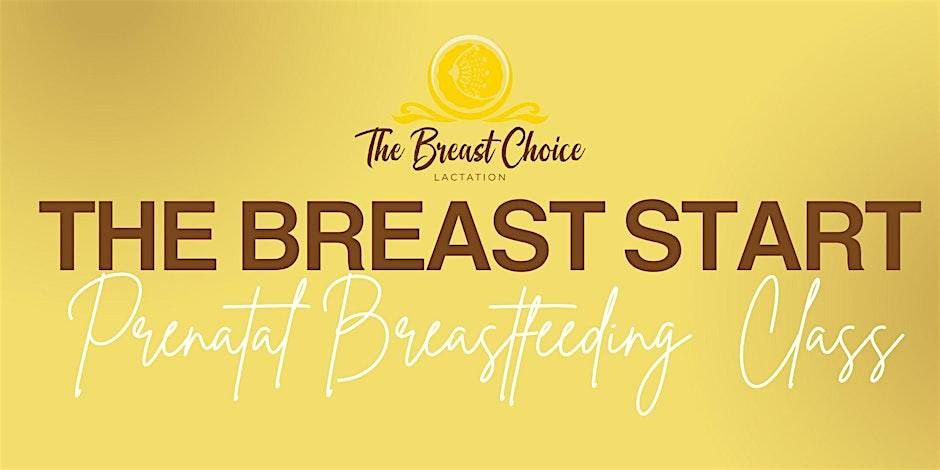 The Breast Start Prenatal Breastfeeding Class in Dallas