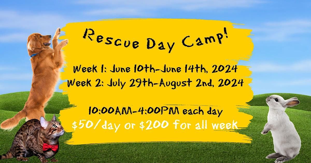 Rescue Day Camp Week 1 - Single Day Registration