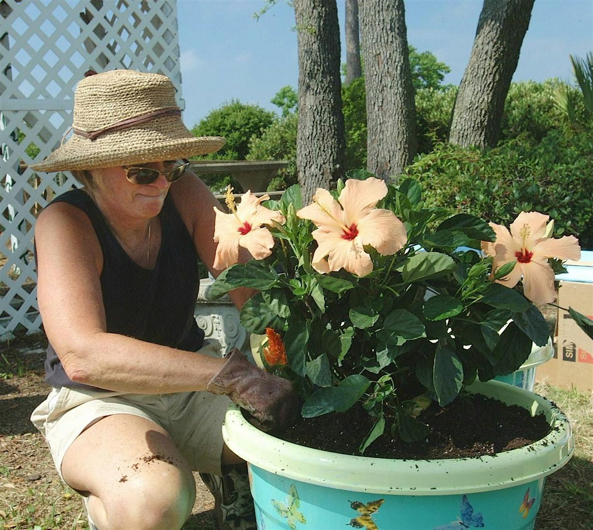 8-26-2024   Container Gardens