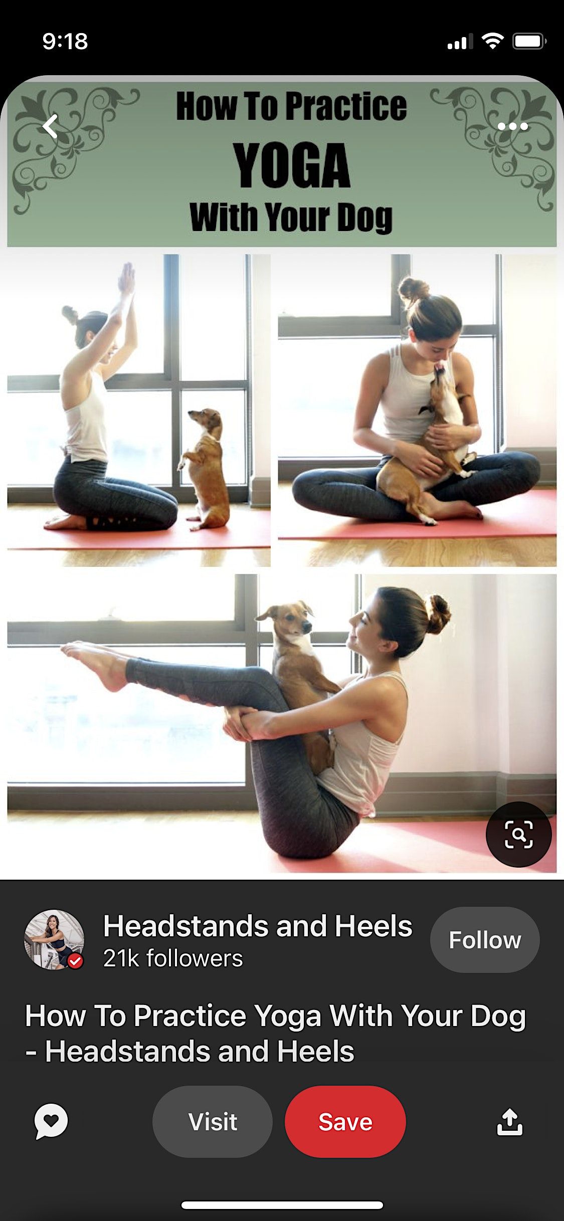 Yoga (Donation based) (Dog Friendly) Downtown St Petersburg