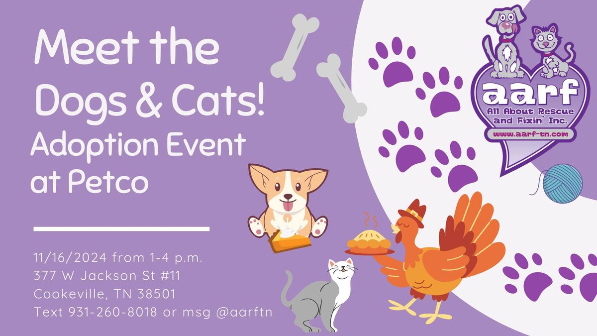 Meet AARF Dogs & Cats - Adoption Event at Petco