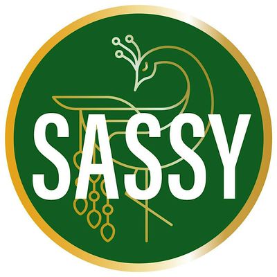 Sassy Studios GA