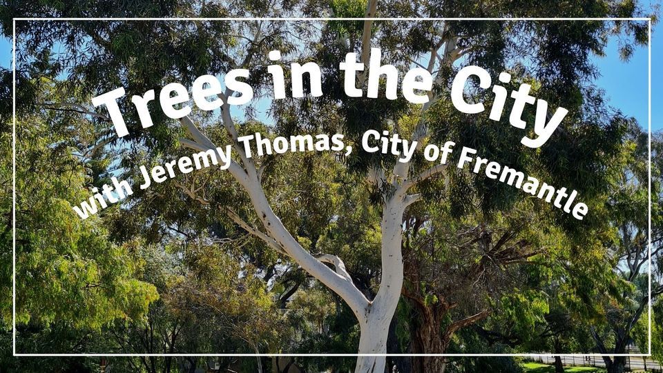 Trees in the City Workshop