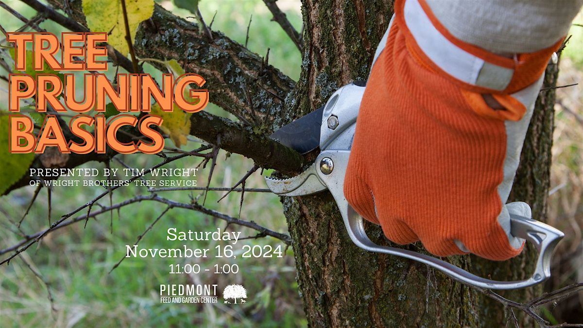 Tree Pruning Basics