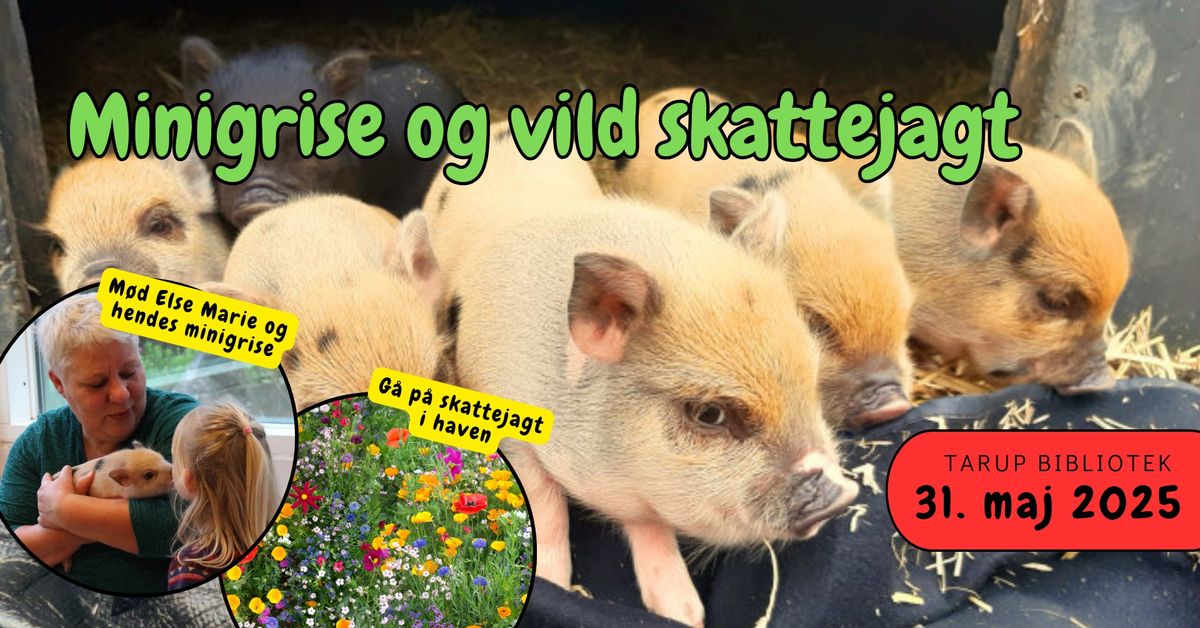 Familiel\u00f8rdag: Minigrise og vild skattejagt 