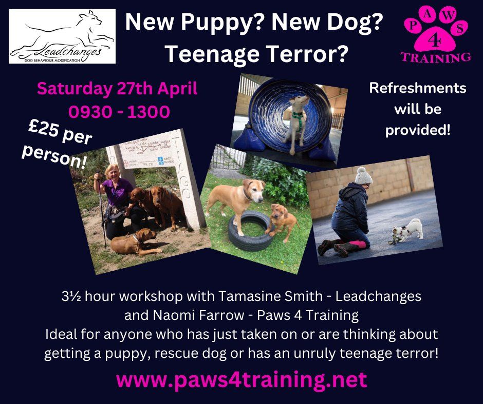 New Puppy? New Dog? Teenage Terror? - Learning Workshop