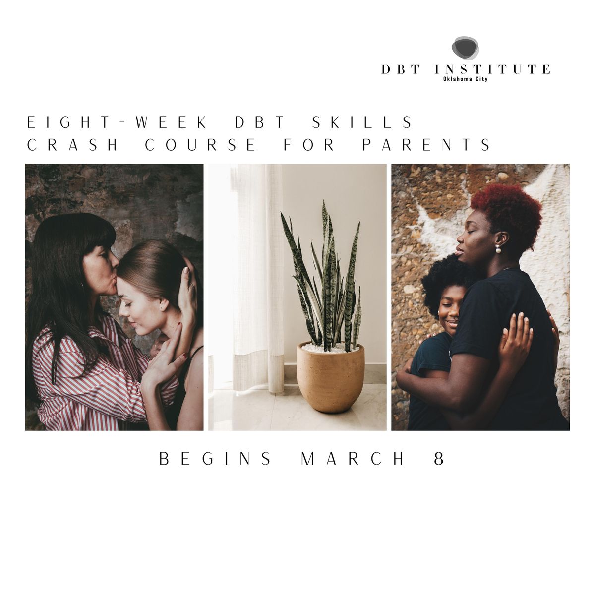 Eight-Week DBT Skills Crash Course for Parents, DBT Institute Oklahoma ...