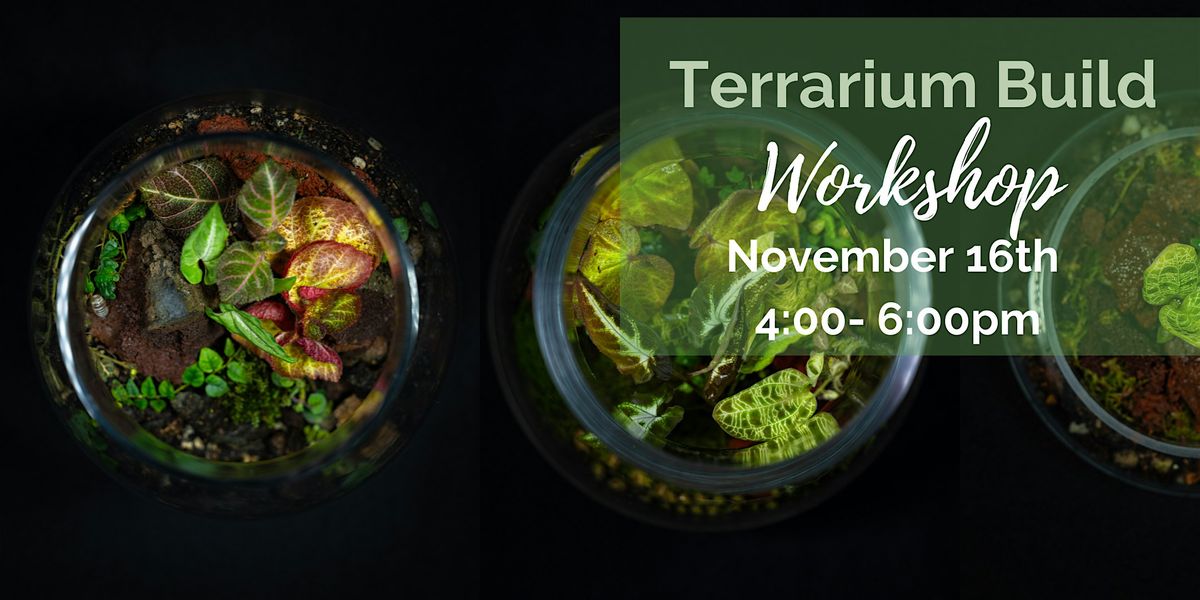 Glass Gardens: Terrarium Crafting Experience