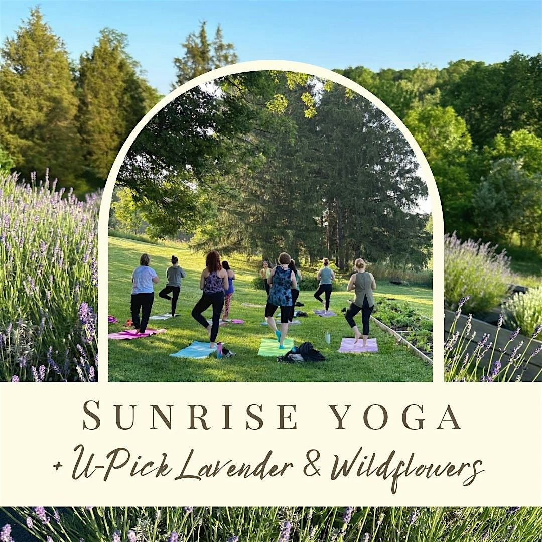 Sunrise Yoga  on the Lavender Farm