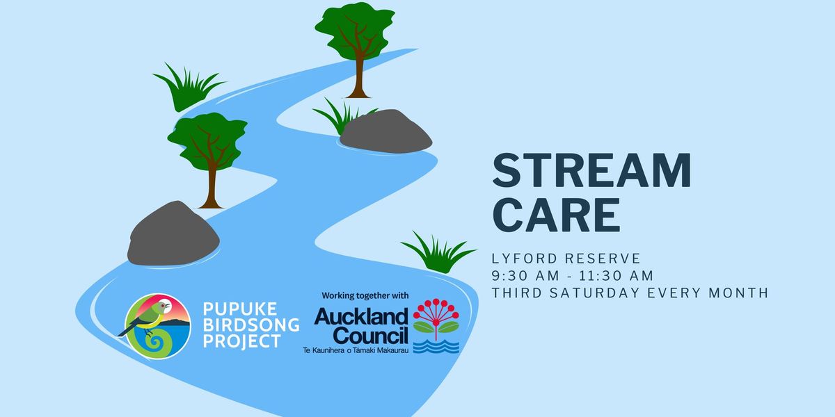 Lyford Reserve Stream Care for Flood Readiness