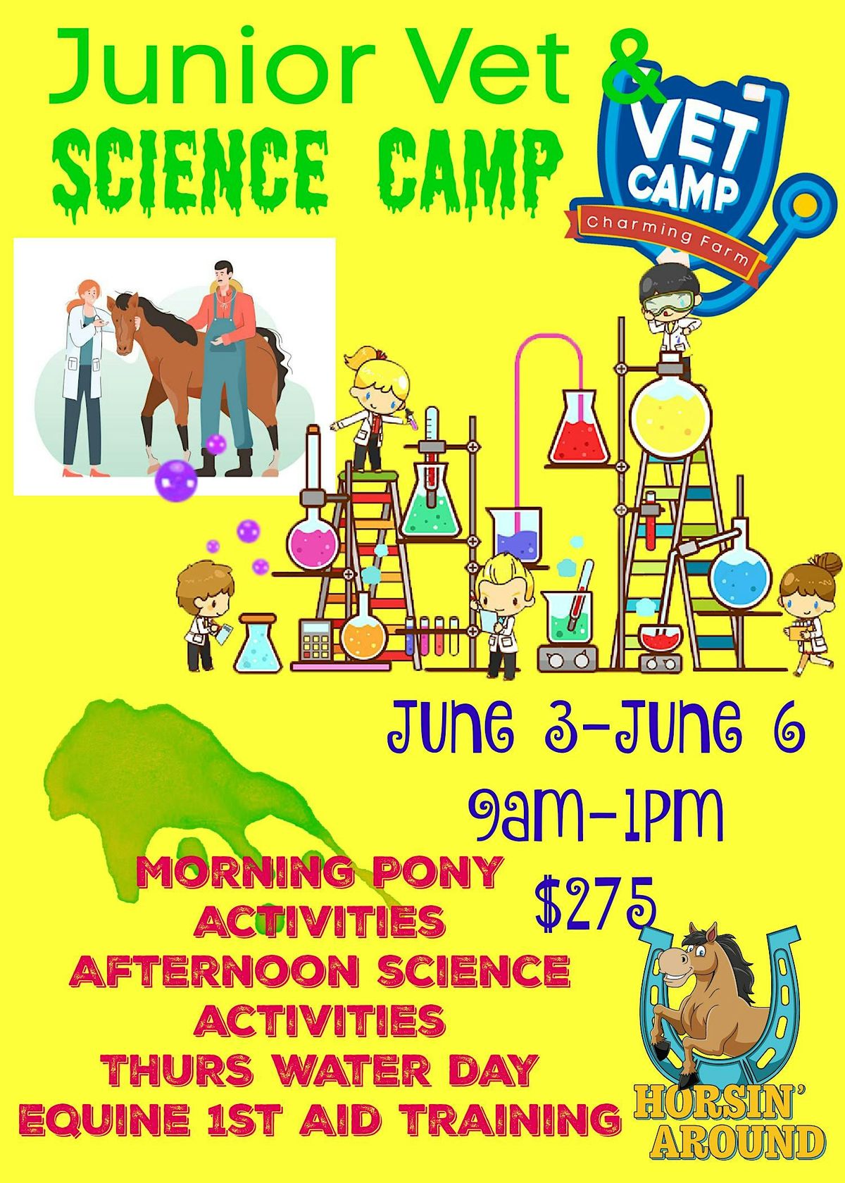 Junior Vet & Science Pony Camp