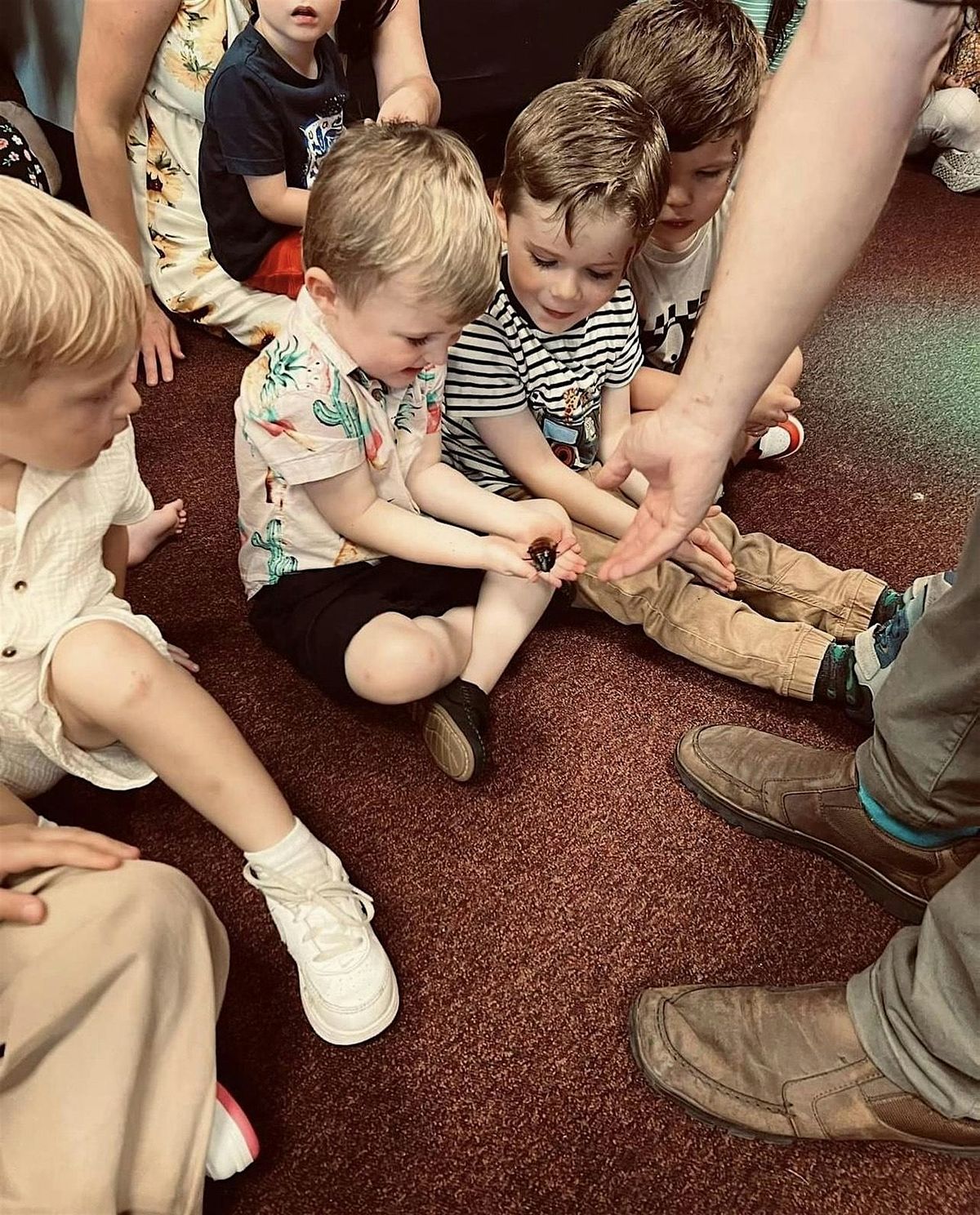 The Creepy Crawly Show