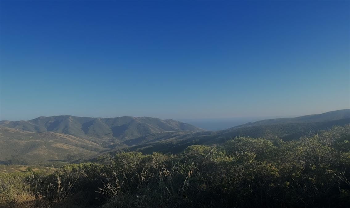 Community Hike with the Integral Psychedelic Community