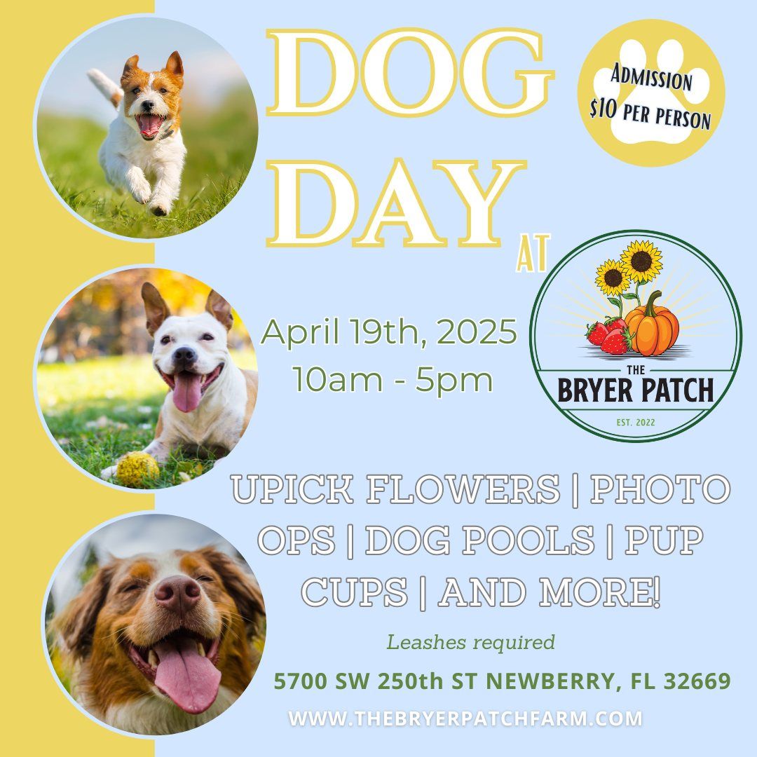 Dog Day at The Bryer Patch