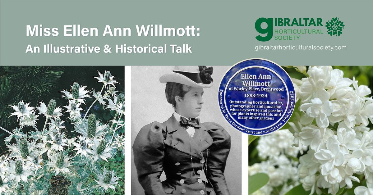 Miss Ellen Ann Willmott: An Illustrative & Historical Talk