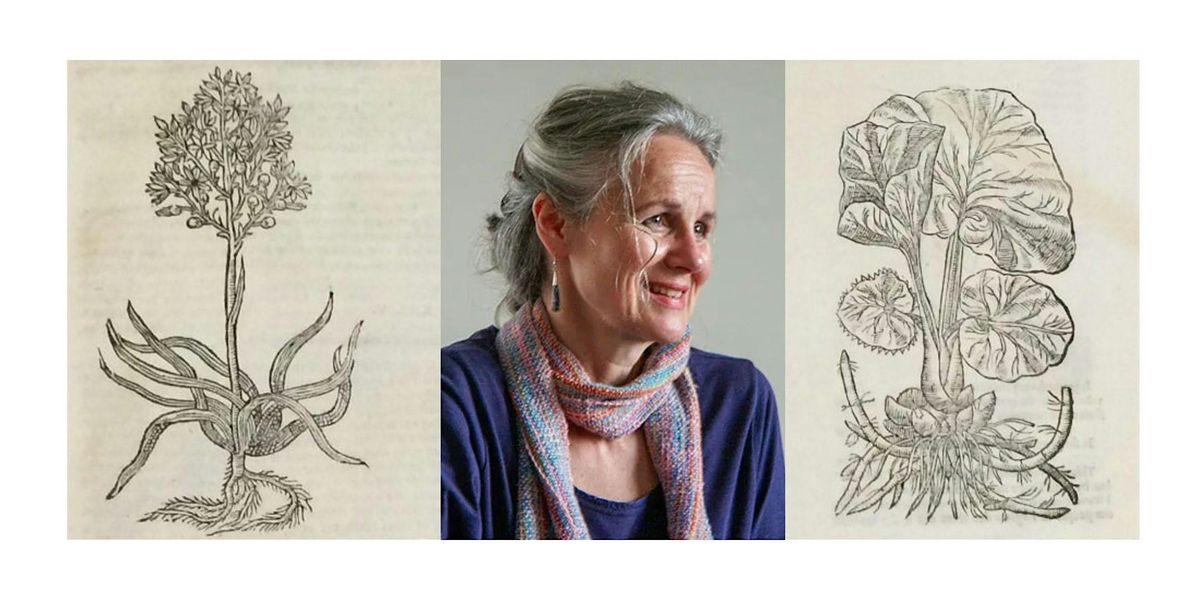 Folklore and Songs of Plants with Margaret Bennett