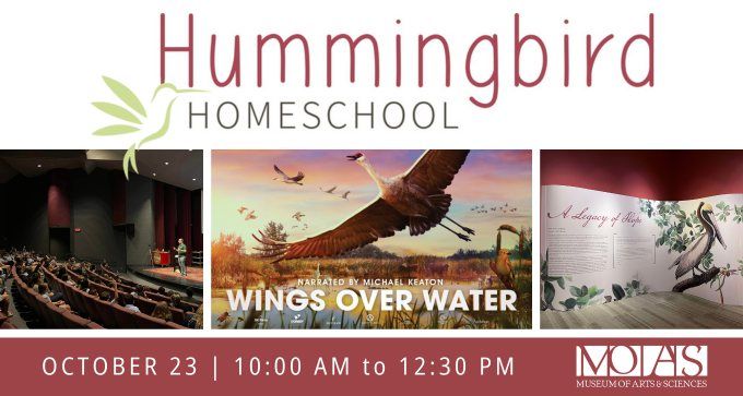 Hummingbird Homeschool Day