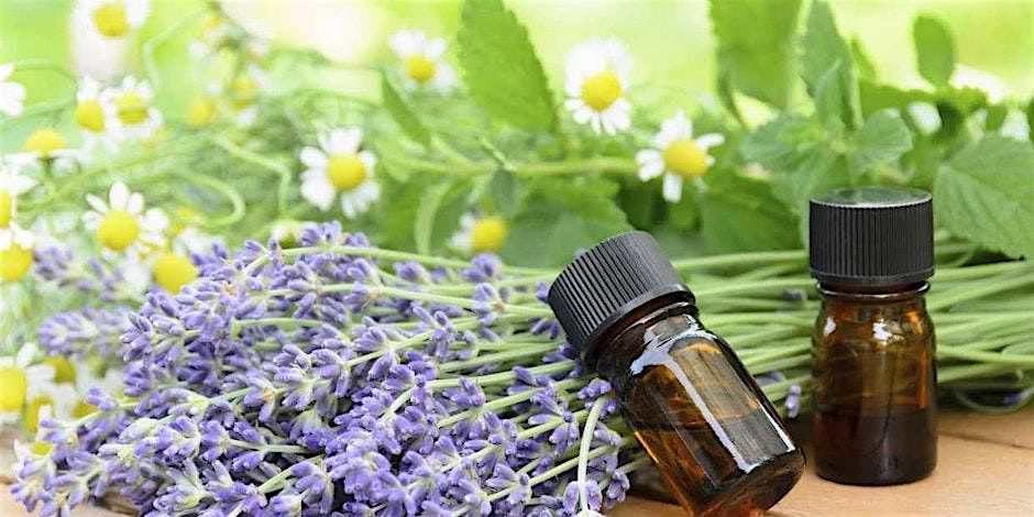 Aromatherapy & Holistic Solutions for Better Sleep