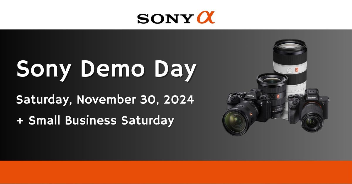 Sony Demo Day