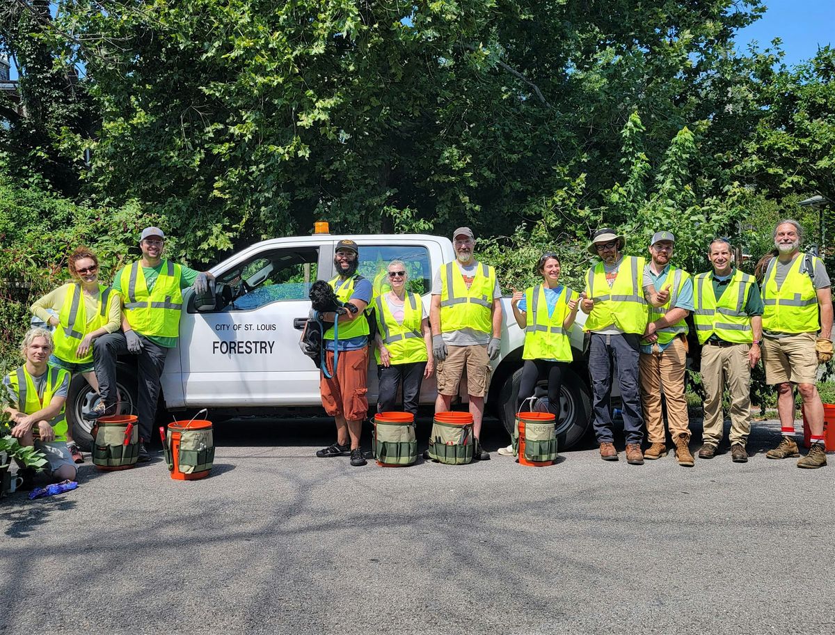 Monthly Benton Park West Tree Care Blitz