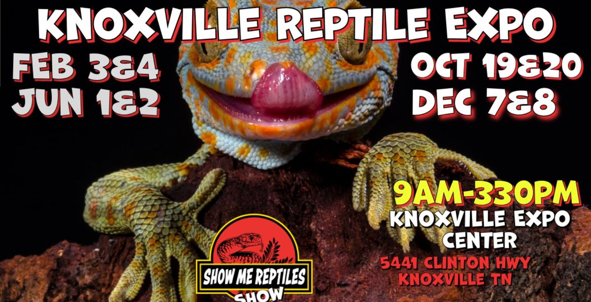 Knoxville Reptile Expo Show me Show 