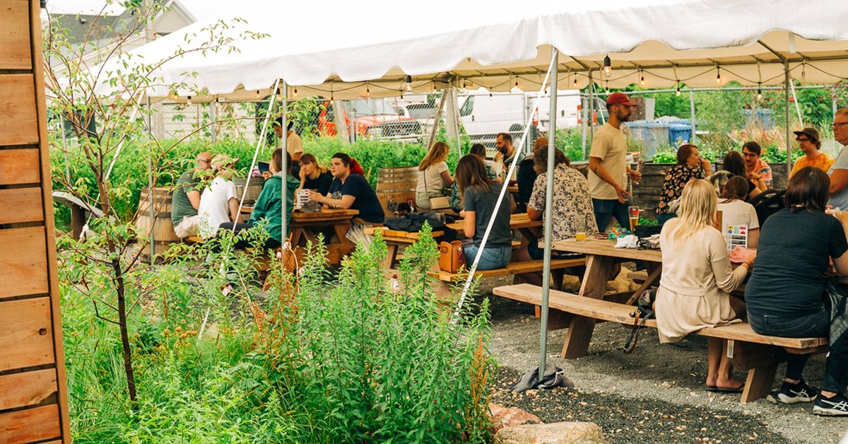 Summer Solo Sets: Music in the Beer Garden