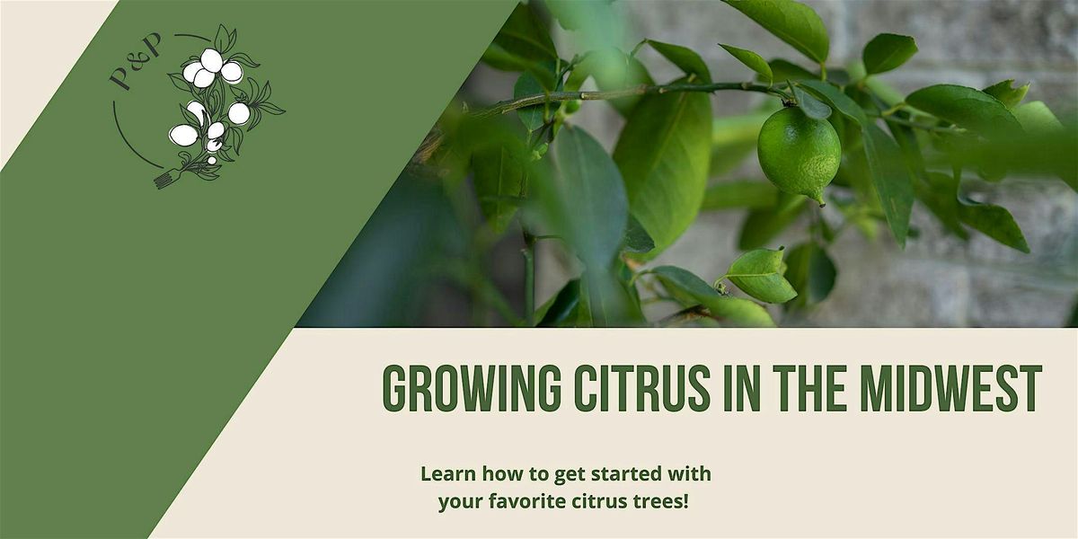 The Juice! How to Grow Citrus in the Midwest