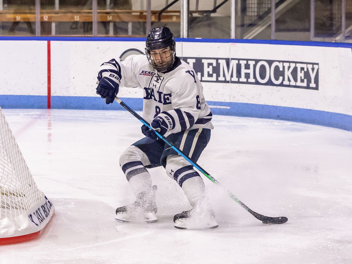 Colgate Raiders at Yale Bulldogs Mens Hockey