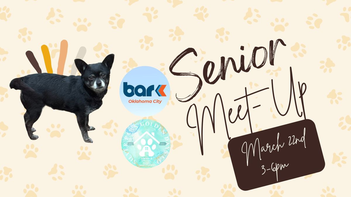 Senior Dog Meet Up & Adoption Event 