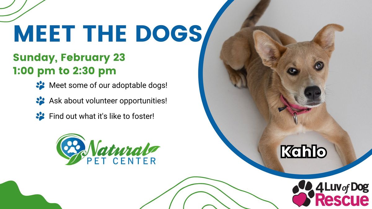 Meet the Dogs at Natural Pet Center 