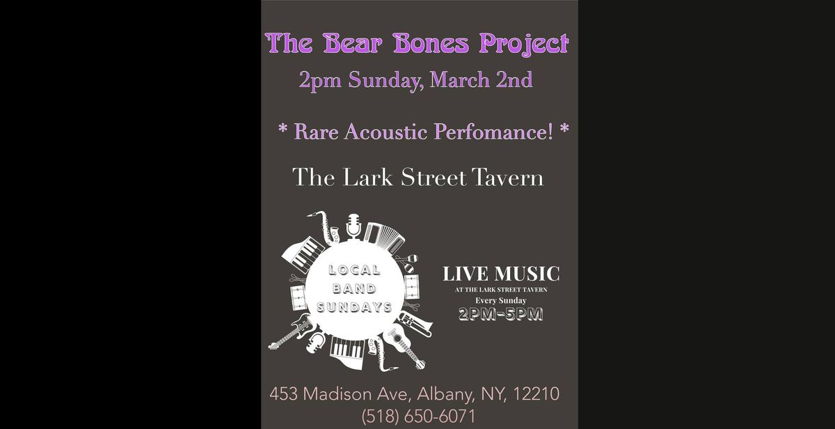 The Acoustic Bear Bones Project