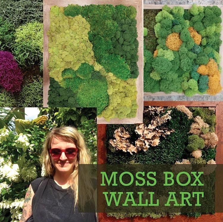Moss Box Wall Art Class, Denver Tool Library, 16 July 2022