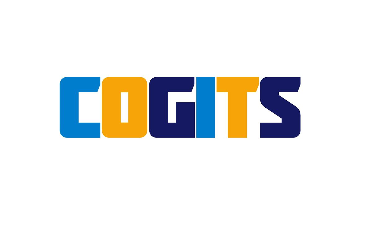 COGITS ( Chief Officers Group in the Third Sector)