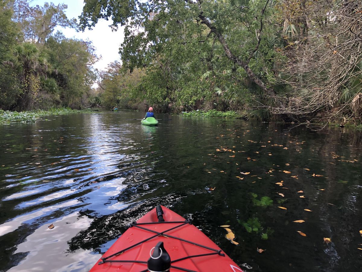 November Eco Paddle - Wekiva River