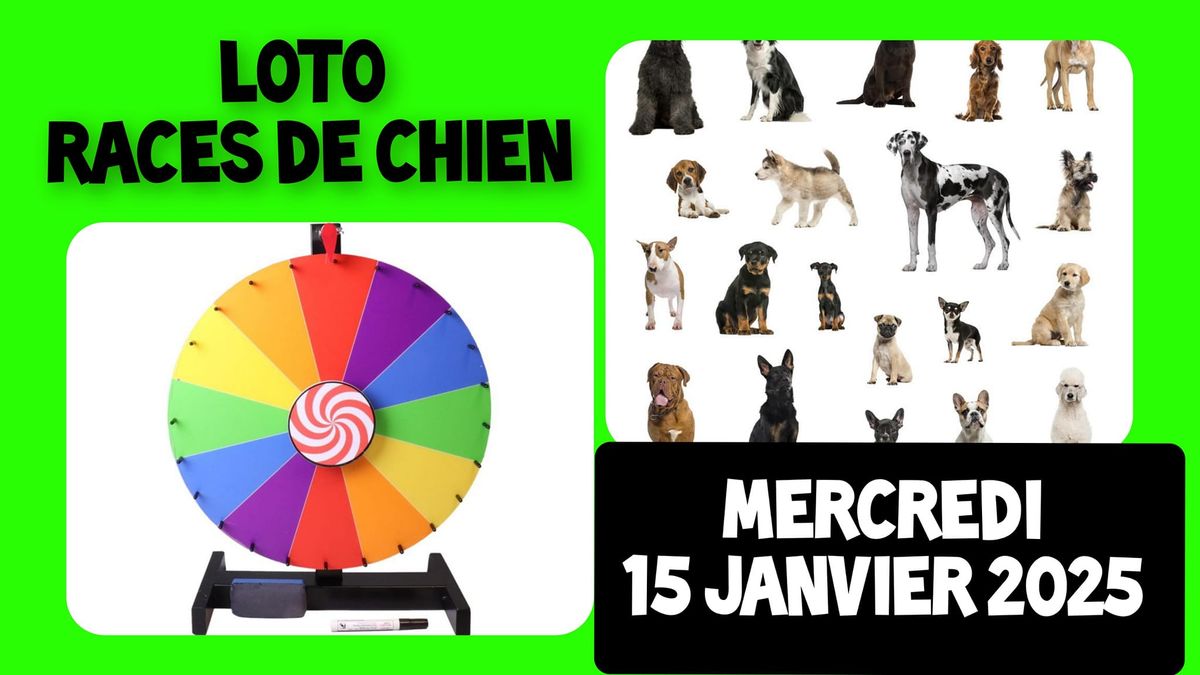 LOTO RACES DE CHIEN \ud83d\udc36 