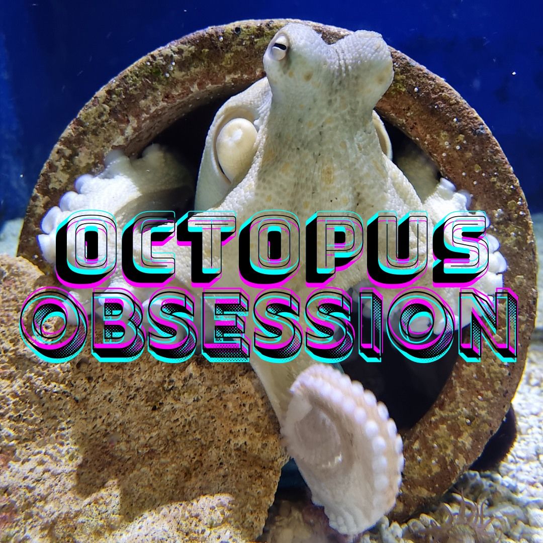 School Holiday Program - Octopus Obsession