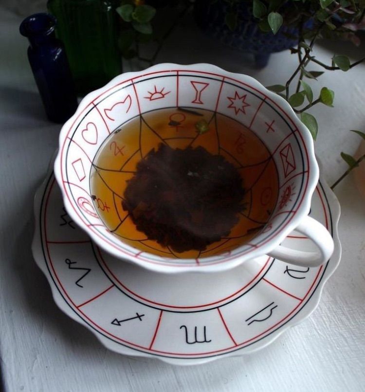 Tea Leaf Reading Course 