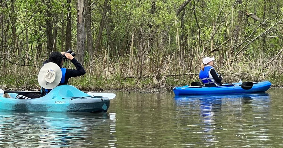 Fall Open Water Birding Paddle Trip