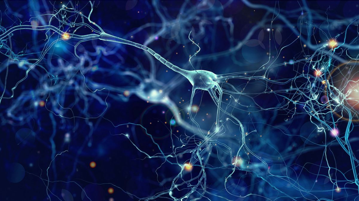 King's Spasticity Masterclass