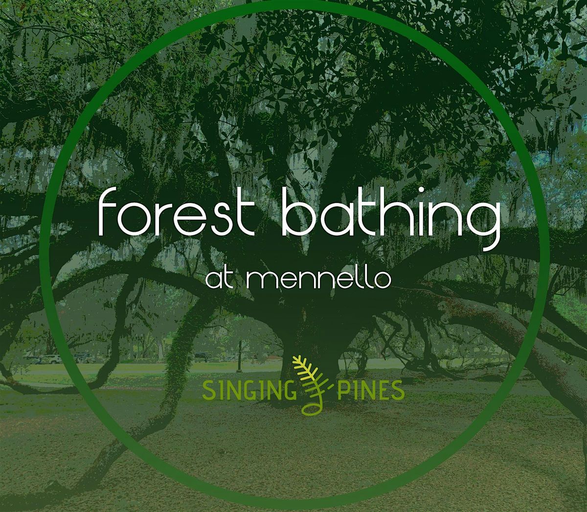 Forest Bathing at Mennello