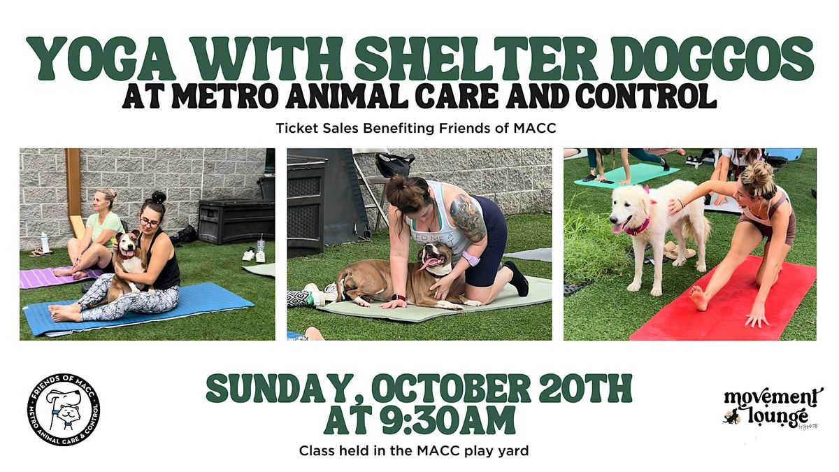 Yoga with the Shelter Doggos of MACC